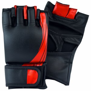 MMA Gloves